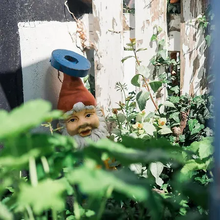 Christianso Unsere Mit Seeterrasse Lägenhet *